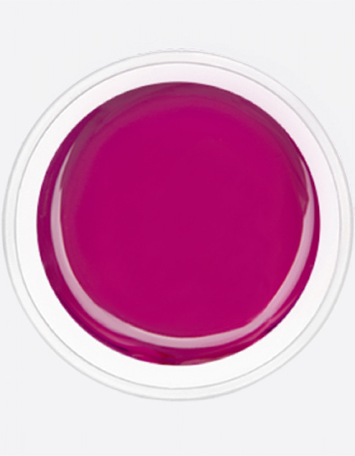 ARTEX гель-краска слива 10 гр. ARTEX гель-краска слива 10 гр.