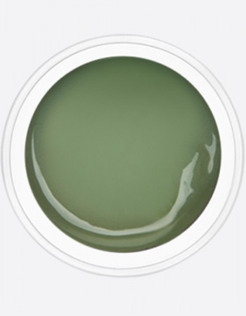 ARTEX гель-краска темно-фисташковый 10 гр.  ARTEX гель-краска темно-фисташковый 10 гр.