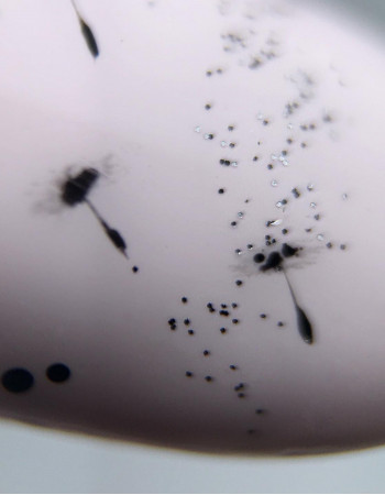 Artylac classic 219 8 мл Artylac classic 219 8 мл