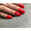 Artylac classic 372 8 мл Artylac classic 372 8 мл