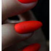 Artylac top coat flax 491 15 мл Artylac top coat flax 491 15 мл