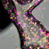 Artylac top gel polar night 276 5 гр. Artylac top gel polar night 276 5 гр.