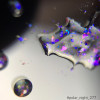 Artylac top gel polar night 277 5 гр. Artylac top gel polar night 277 5 гр.