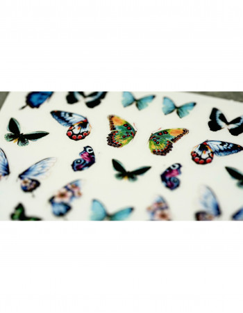 Наклейки, бабочки 431 Наклейки, бабочки 431