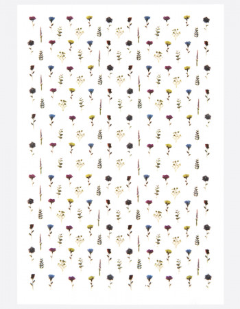 Наклейки, цветы 218 Наклейки, цветы 218