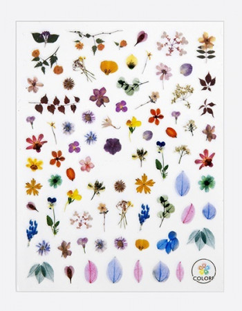 Наклейки, летние цветы 009 Наклейки, летние цветы 009