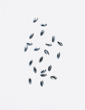 Полусферы лепестки гладкие серебро 1х2 мм  Полусферы лепестки гладкие серебро 1х2 мм