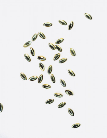 Полусферы лепестки гладкие золото 1х2 мм  Полусферы лепестки гладкие золото 1х2 мм