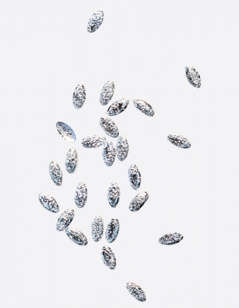 Полусферы лепестки шлифованные серебро 2х3 мм  Полусферы лепестки шлифованные серебро 2х3 мм