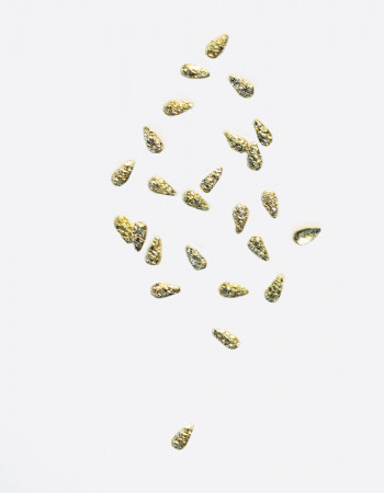 Полусферы лепестки шлифованные золото 1х2 мм  Полусферы лепестки шлифованные золото 1х2 мм