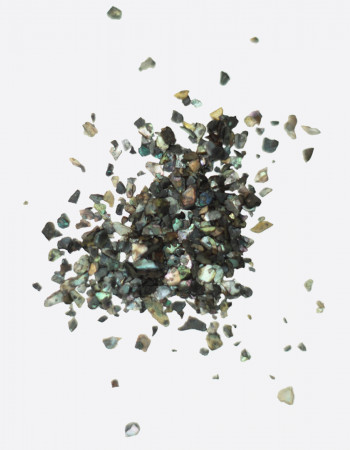 Ракушка черный перламутр  Ракушка черный перламутр