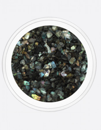 Ракушка черный перламутр  Ракушка черный перламутр