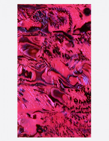 Ракушка раскатанная, фуксия Ракушка раскатанная, фуксия