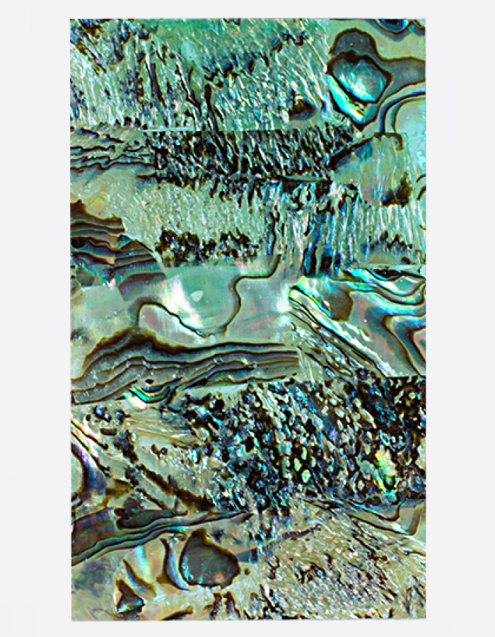 Ракушка раскатанная, малахит Ракушка раскатанная, малахит