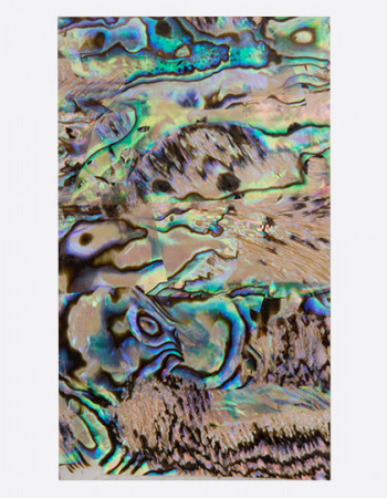 Ракушка раскатанная, песочная Ракушка раскатанная, песочная