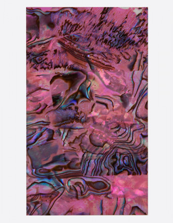 Ракушка раскатанная, розовая Ракушка раскатанная, розовая