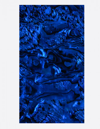 Ракушка раскатанная, синяя Ракушка раскатанная, синяя